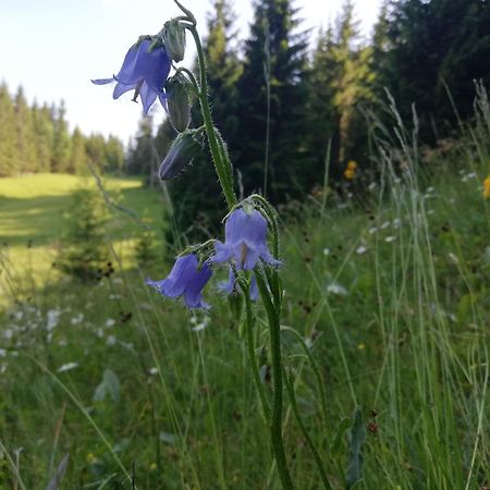 Soba Pri Bregarju Apartment Bohinj Bagian luar foto