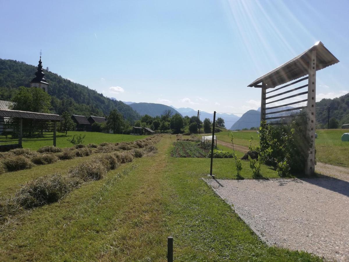 Soba Pri Bregarju Apartment Bohinj Bagian luar foto