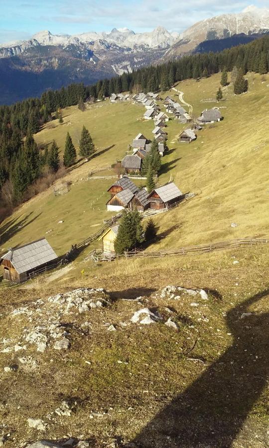 Soba Pri Bregarju Apartment Bohinj Bagian luar foto