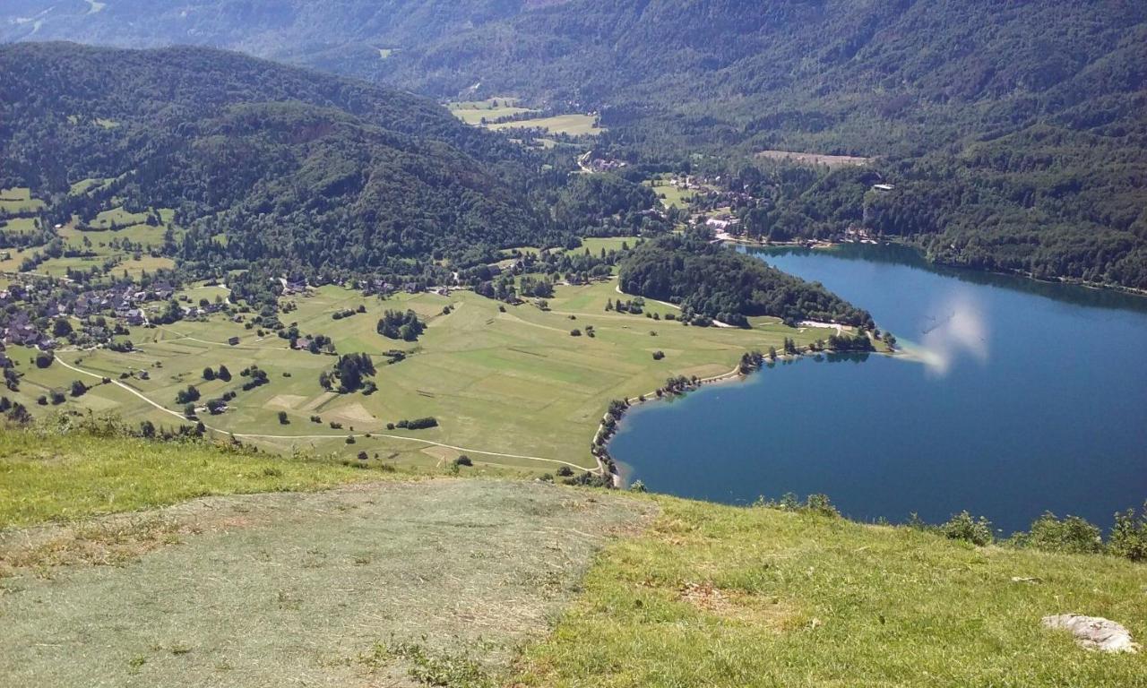 Soba Pri Bregarju Apartment Bohinj Bagian luar foto