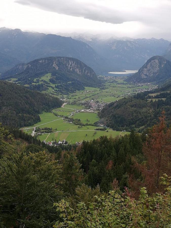 Soba Pri Bregarju Apartment Bohinj Bagian luar foto