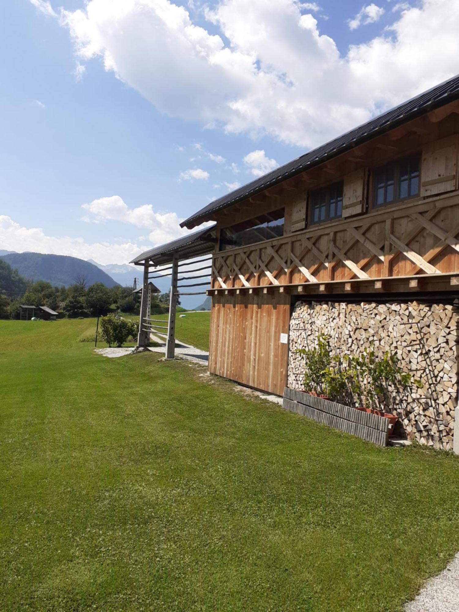 Soba Pri Bregarju Apartment Bohinj Bagian luar foto
